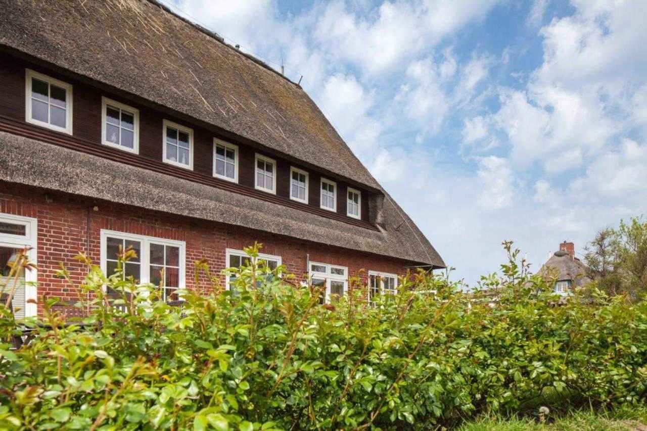 Ringelblume * List auf Sylt