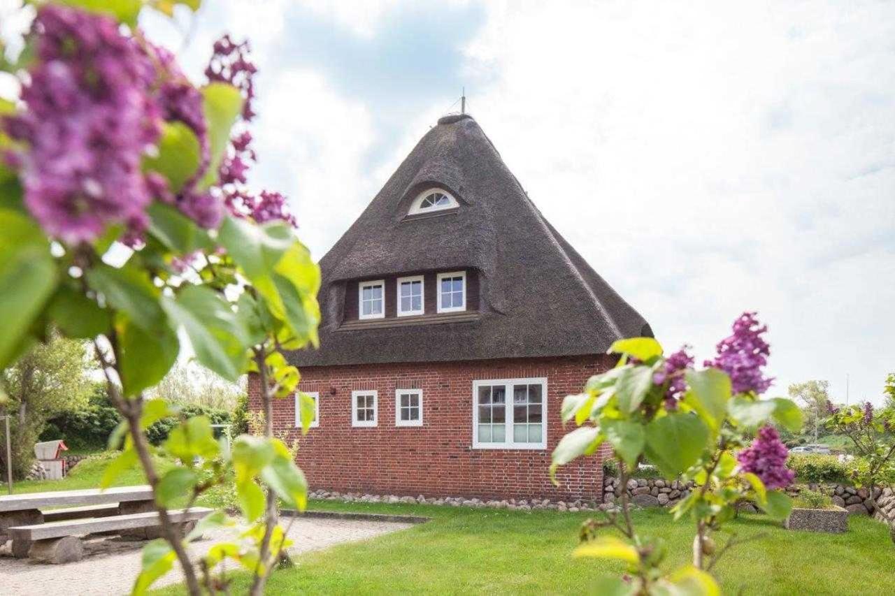 Ringelblume Apartment